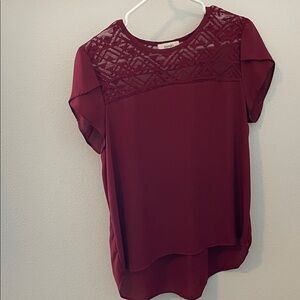 Elegant Sheer burgandy Top